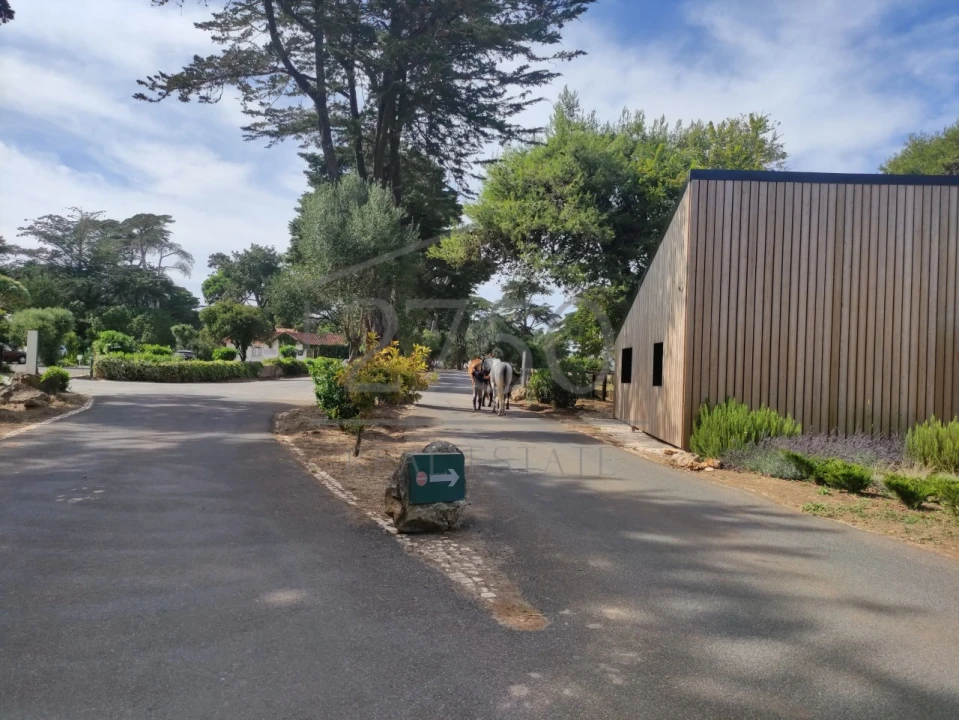 Moradia T6 para Arrendamento em Cascais e Estoril Foto 17