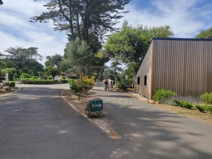 Moradia T6 para Arrendamento em Cascais e Estoril Foto 17