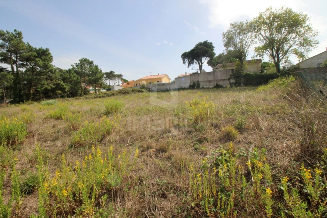 Terreno para Venda em Mafra Foto 3