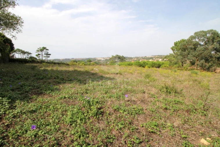 Terreno para Venda em Mafra