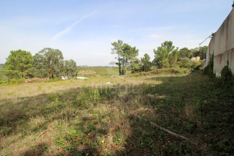 Terreno para Venda em Mafra Foto 4