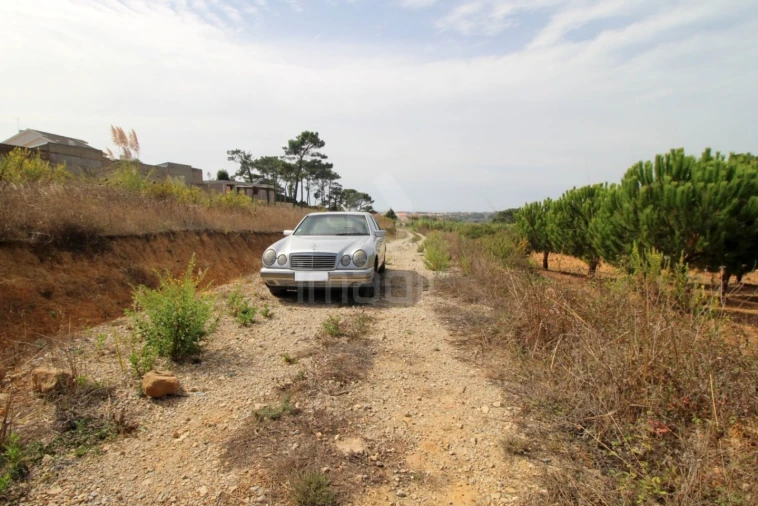 Terreno para Venda em Mafra Foto 6