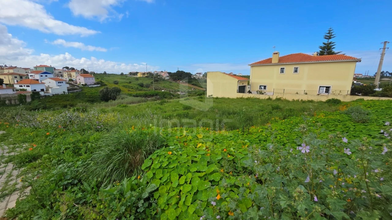 Terreno para Venda em Ericeira Foto 8