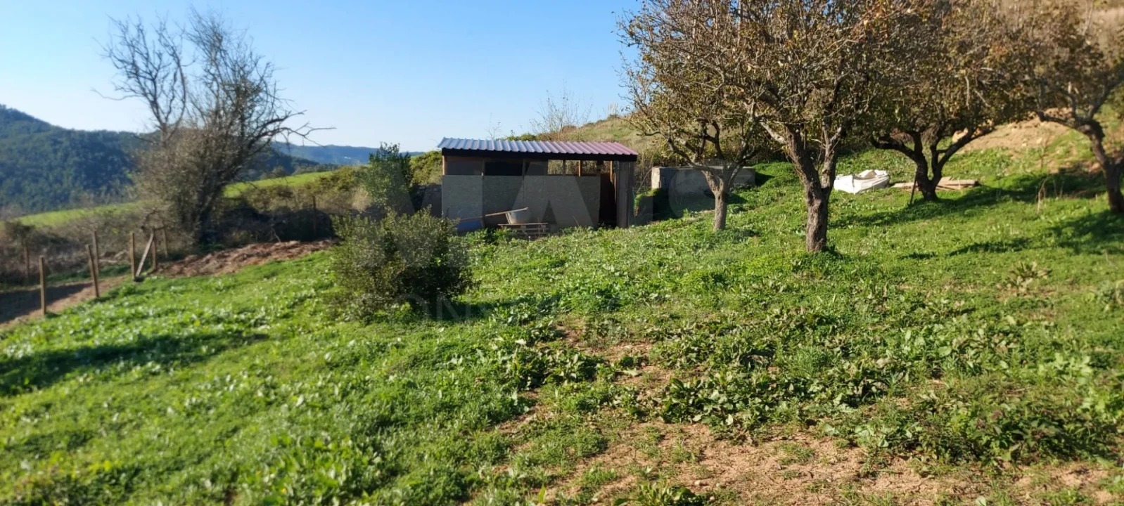 Terreno para Venda em Enxara do Bispo, Gradil e Vila Franca do Rosário Foto 7