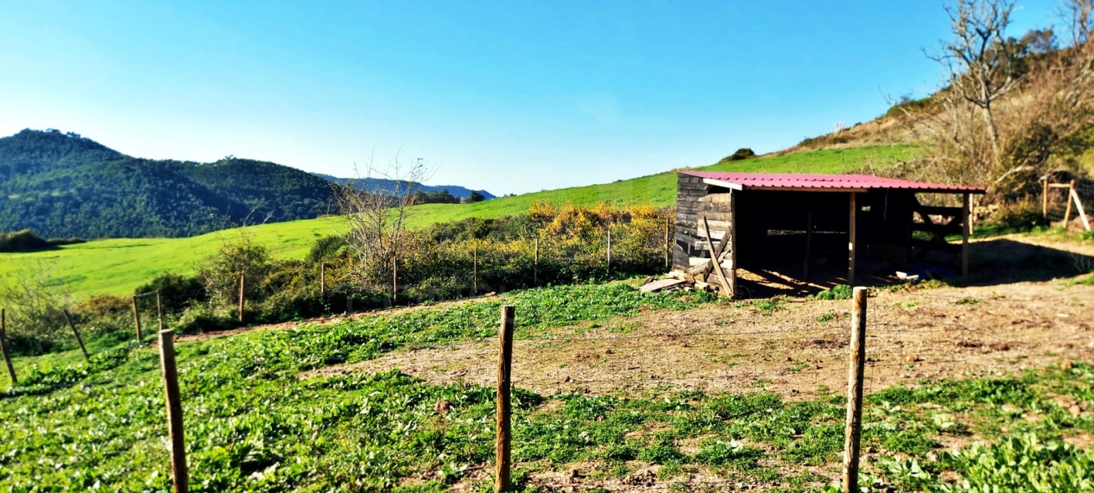 Terreno para Venda em Enxara do Bispo, Gradil e Vila Franca do Rosário Foto 6