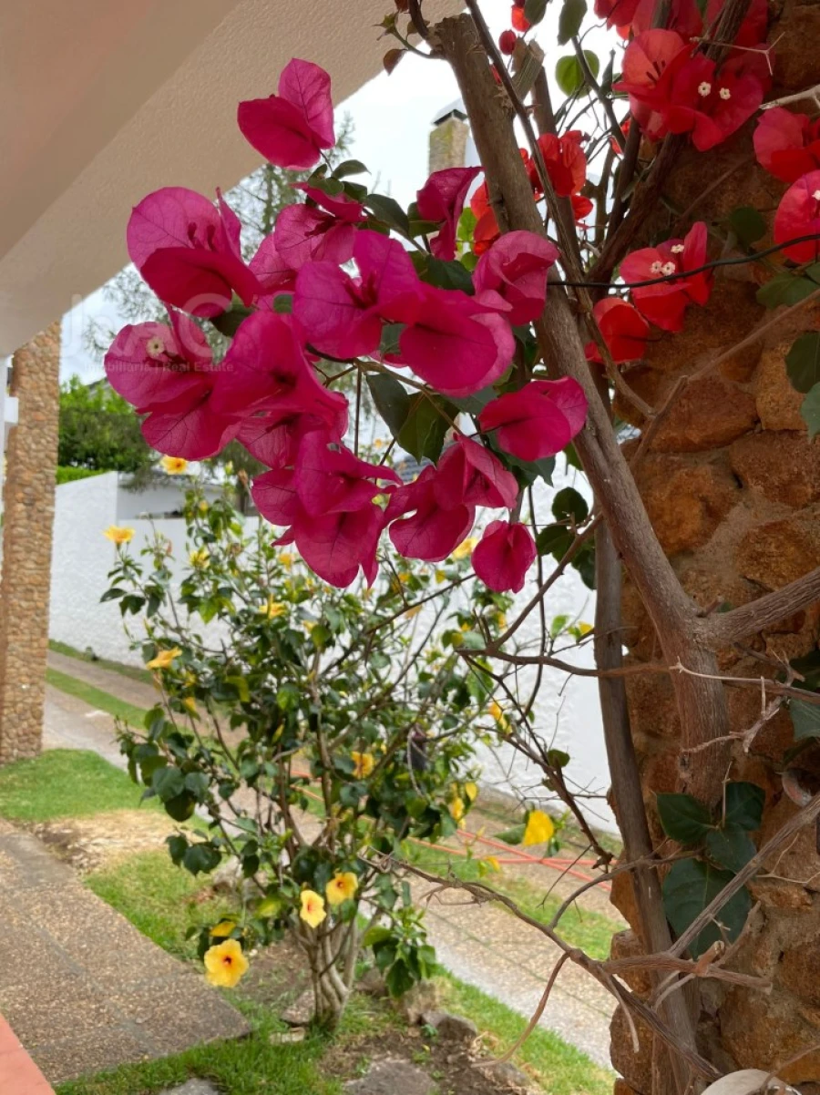 Moradia T4 para Arrendamento em Cascais e Estoril Foto 5