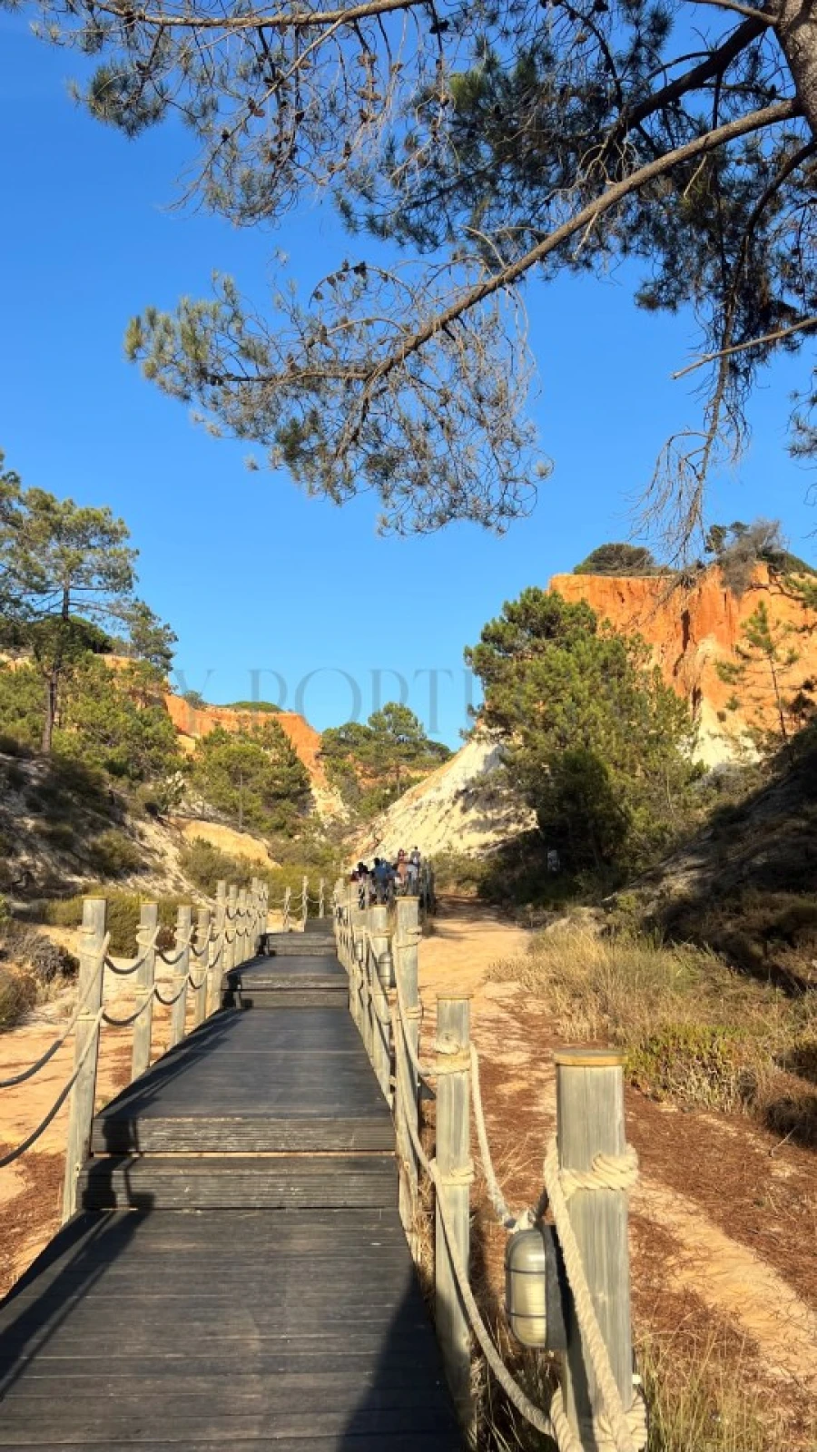 Moradia T2 para Venda em Alte Foto 22