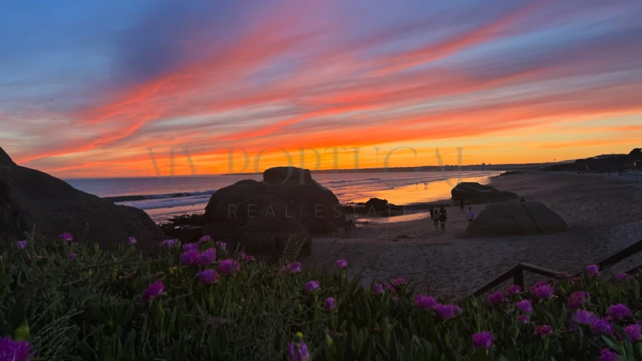 Moradia T2 para Venda em Alte Foto 23