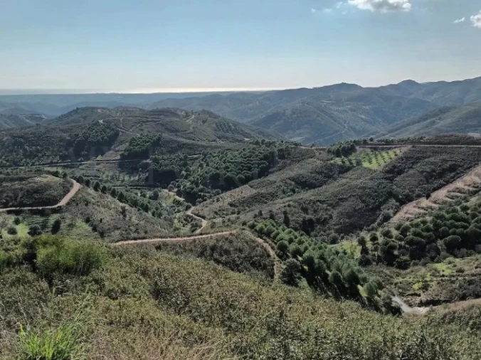 Moradia T2 para Venda em Alte Foto 19