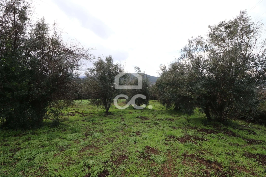 Moradia T4 para Venda em Alvaiázere Foto 17