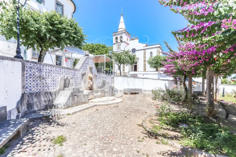 Prédio para Venda em Figueiró dos Vinhos e Bairradas Foto 68