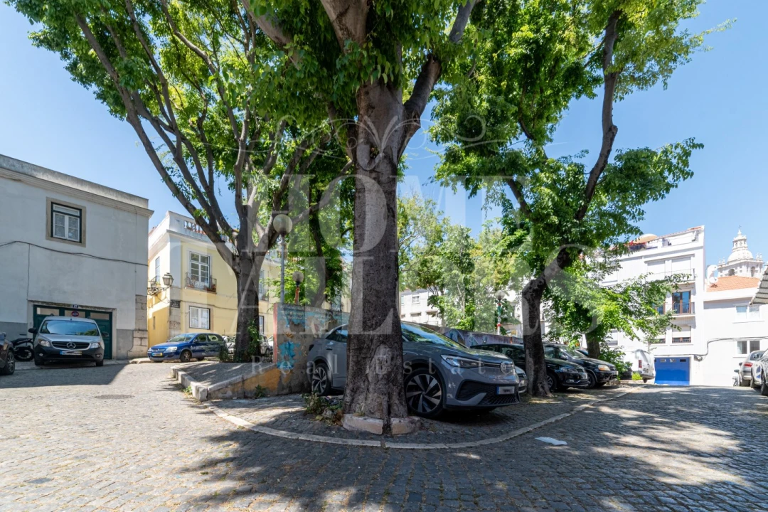 Apartamento T2 para Venda em São Vicente Foto 13