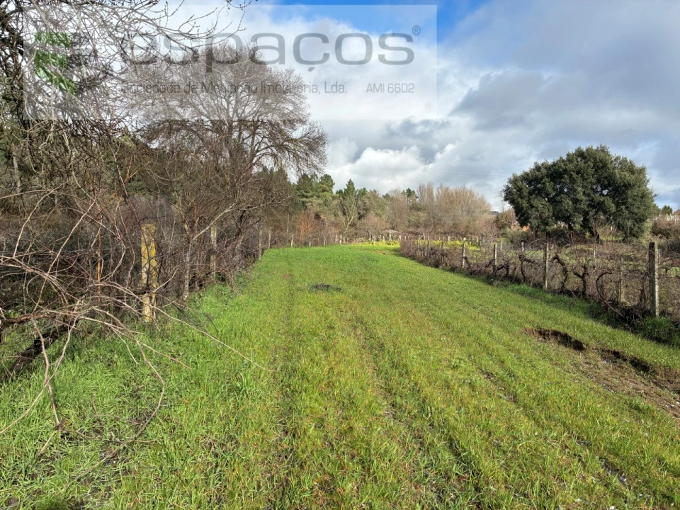 Quinta T1 para Venda em Peso e Vales do Rio Foto 7