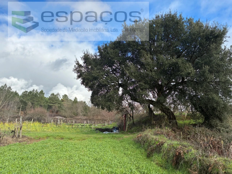 Quinta T1 para Venda em Peso e Vales do Rio Foto 11