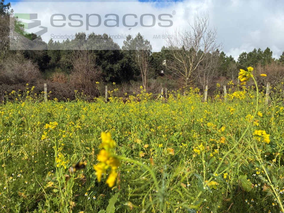 Quinta T1 para Venda em Peso e Vales do Rio Foto 13
