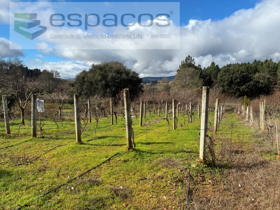 Quinta T1 para Venda em Peso e Vales do Rio Foto 18