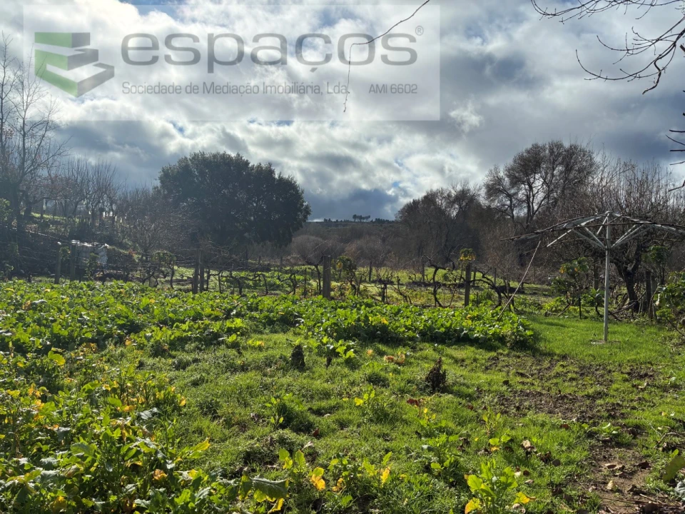 Quinta T1 para Venda em Peso e Vales do Rio Foto 22