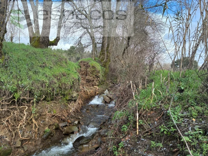Quinta T1 para Venda em Peso e Vales do Rio Foto 8