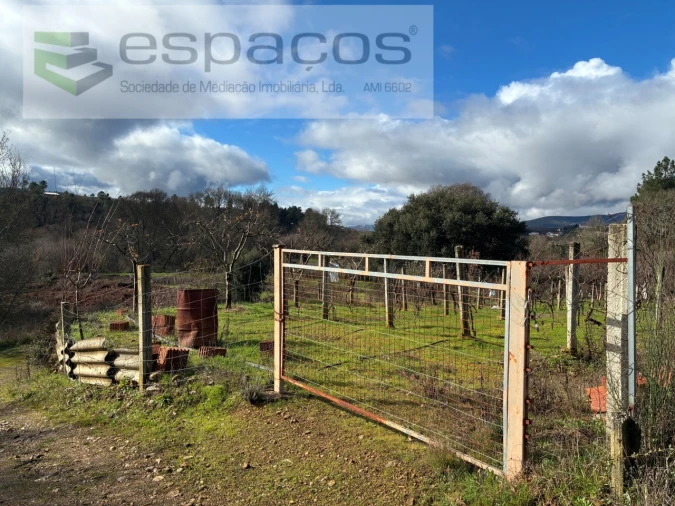 Quinta T1 para Venda em Peso e Vales do Rio Foto 17