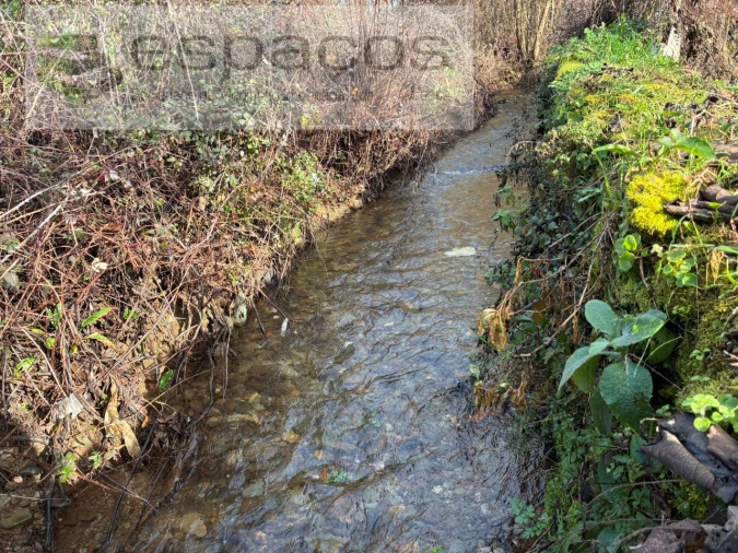 Quinta T1 para Venda em Peso e Vales do Rio Foto 23