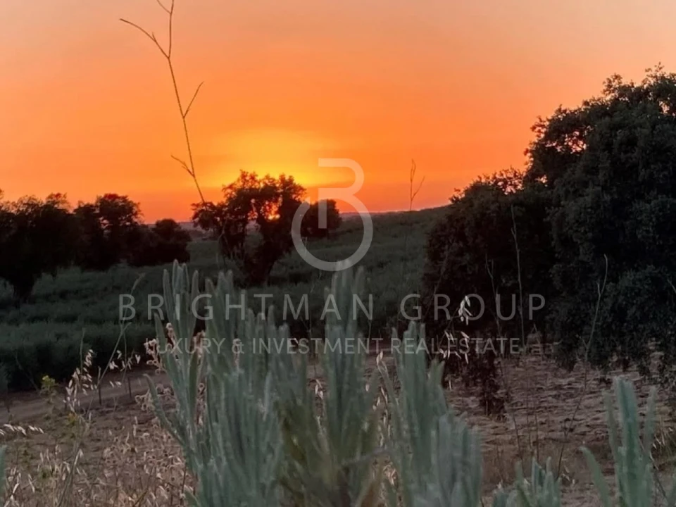 Moradia T5 para Venda em Casa Branca Foto 12