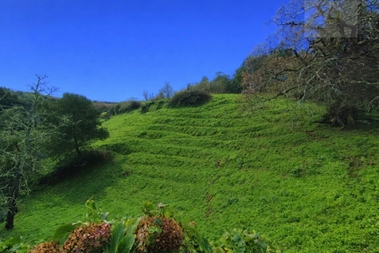 Terreno Agricola ou Rústico para Venda em Ajuda da Bretanha Foto 2