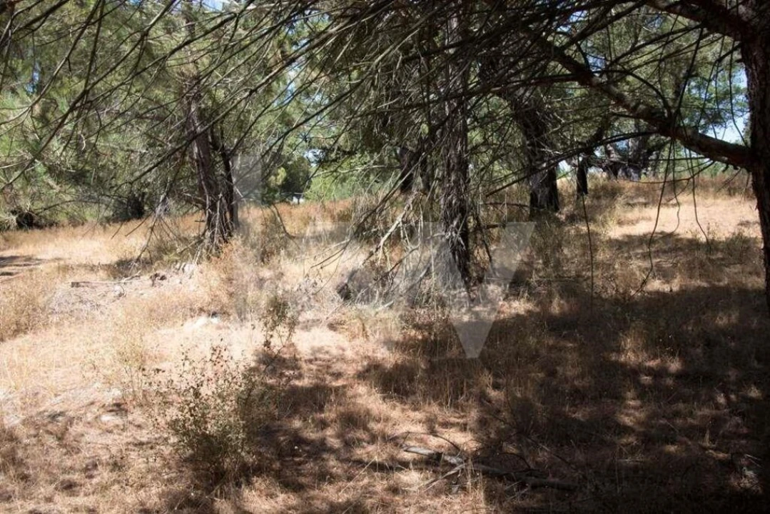 Terreno para Venda em Santo Estêvão Foto 9