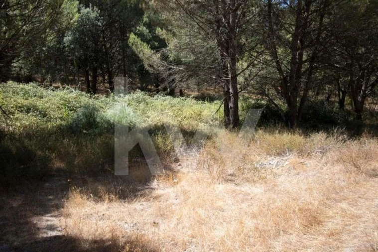 Terreno para Venda em Santo Estêvão Foto 7
