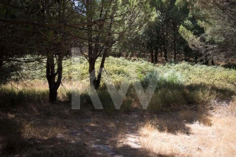 Terreno para Venda em Santo Estêvão Foto 8