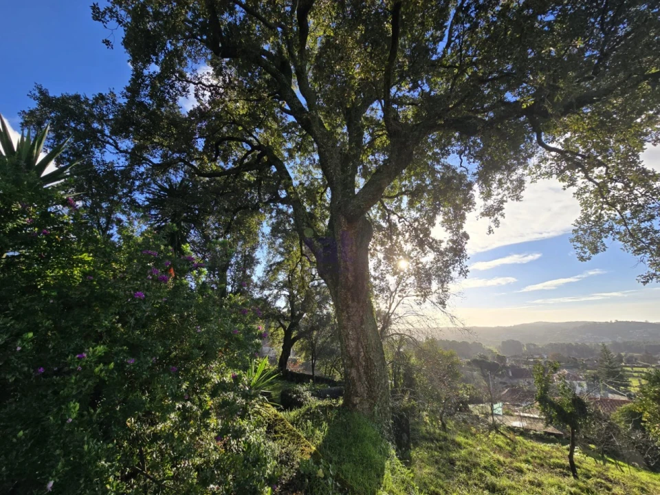 Quinta T2 para Venda em Aldreu Foto 12