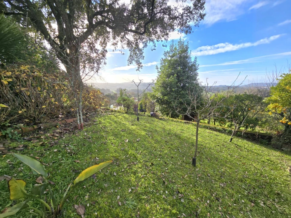 Quinta T2 para Venda em Aldreu Foto 23