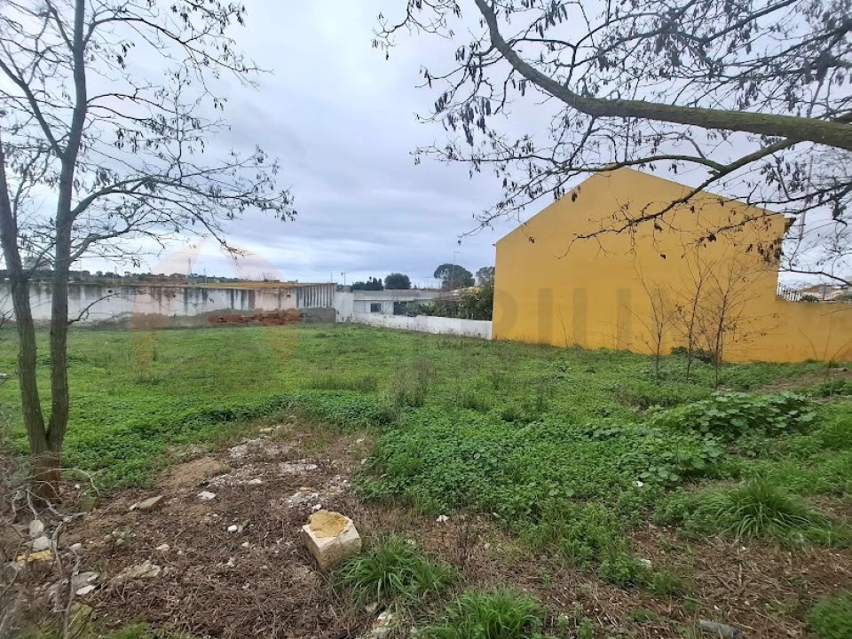 Terreno para Venda em Sado Foto 8
