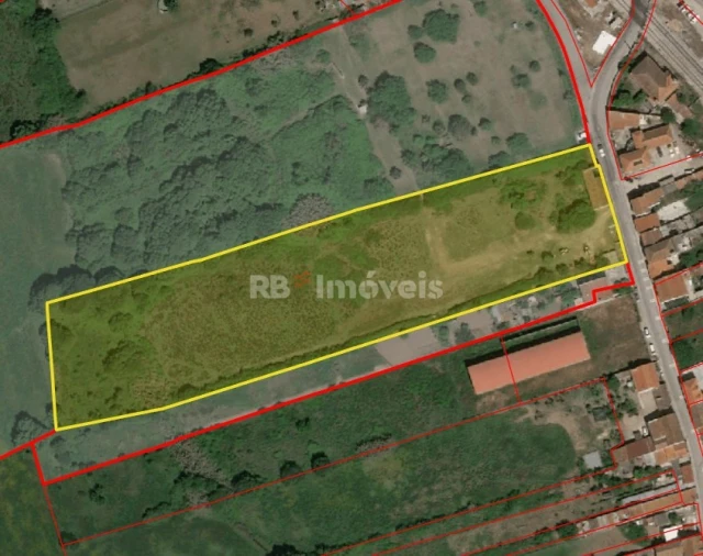 Moradia para Venda em São Miguel do Rio Torto e Rossio Ao Sul do Tejo Foto 9