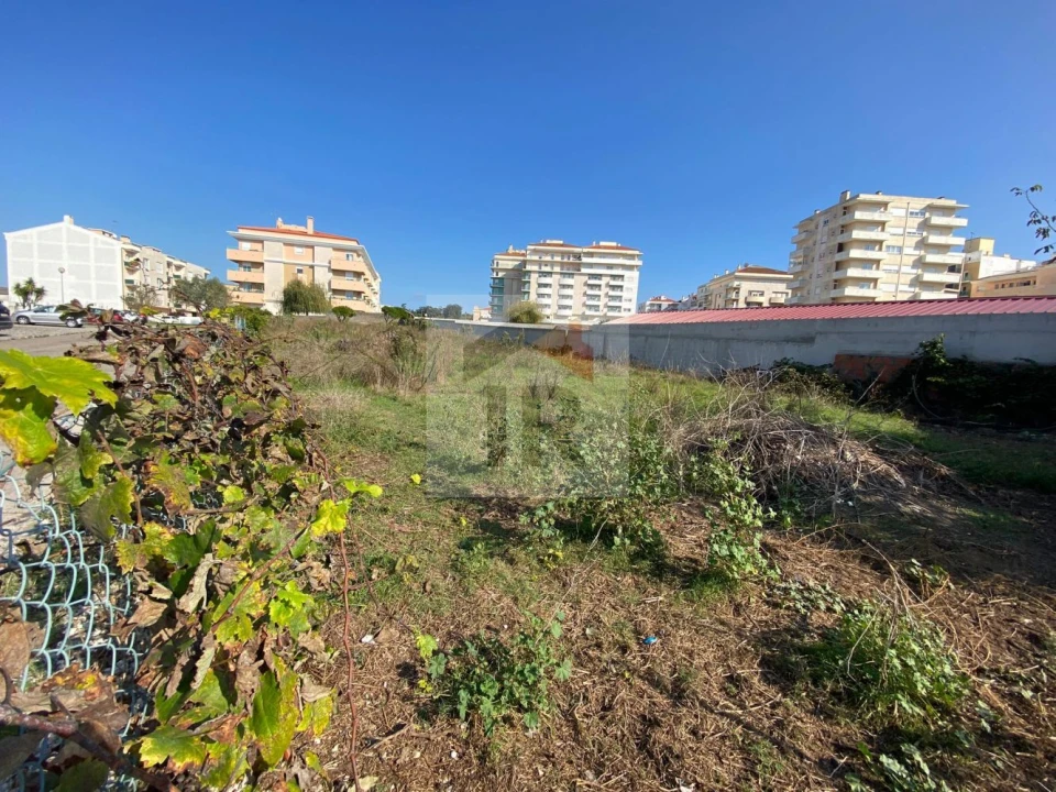 Moradia T3 para Venda em Nossa Senhora do Pópulo, Coto e São Gregório Foto 19