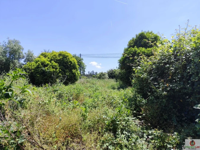 Moradia T6 para Venda em Aguada de Cima Foto 3