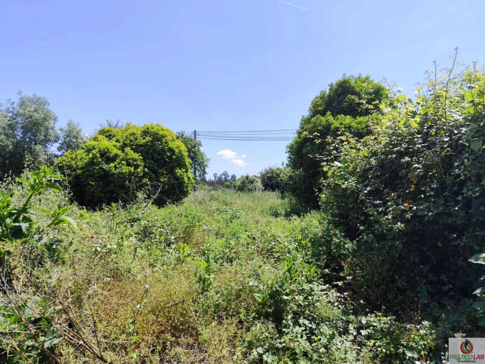 Moradia T6 para Venda em Aguada de Cima Foto 3