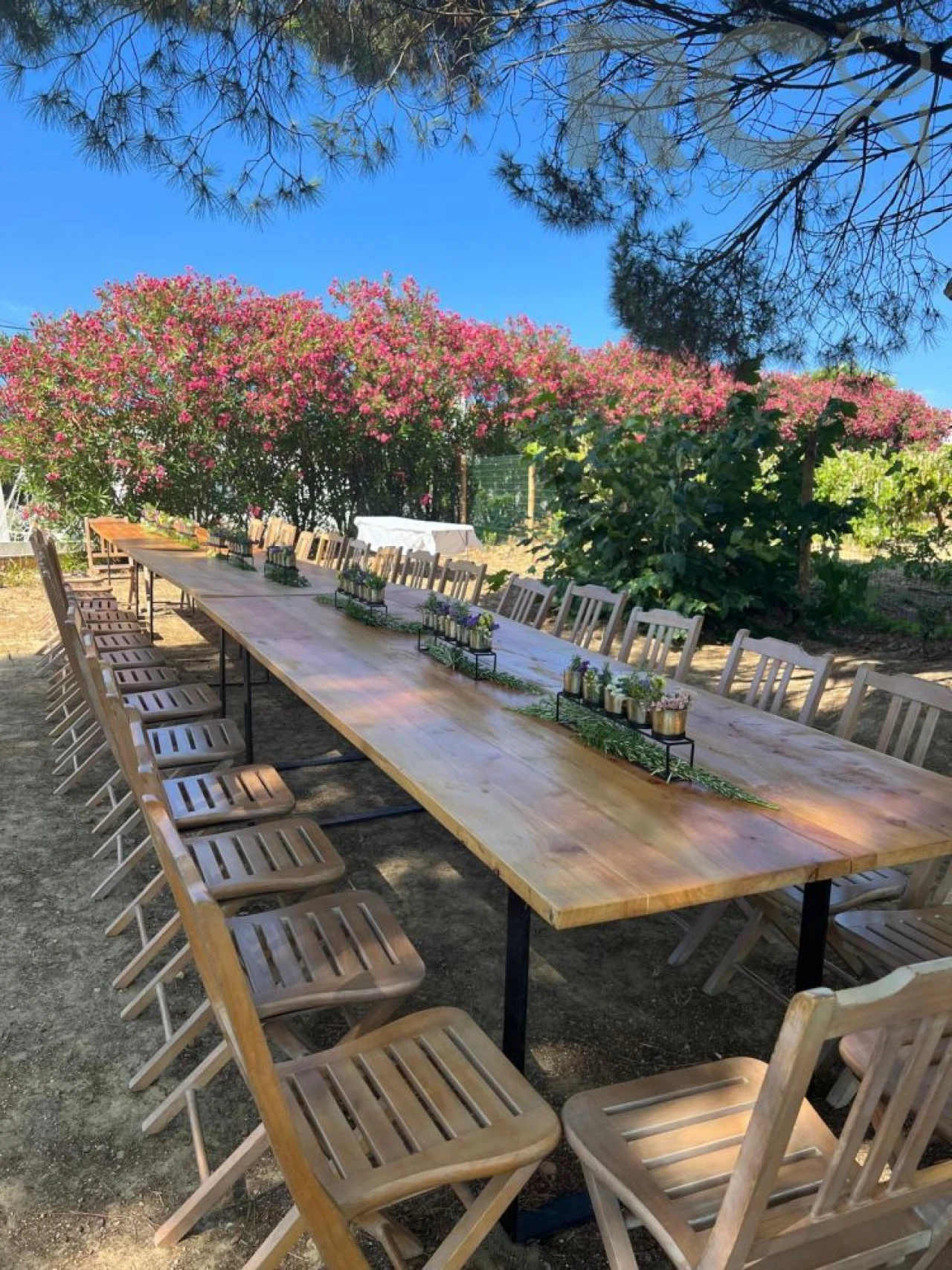 Moradia T10 para Venda em Turcifal Foto 11