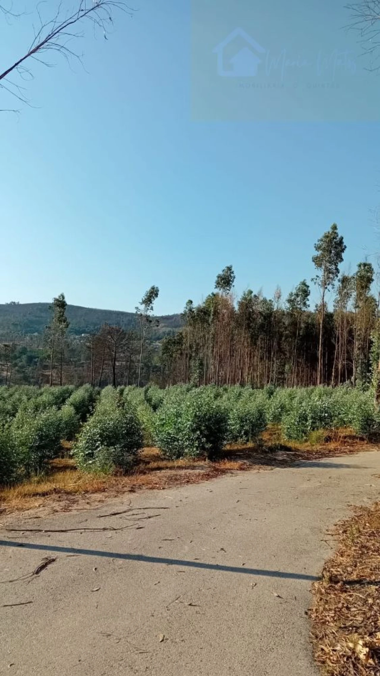 Quinta T0 para Venda em Castelo de Penalva Foto 48