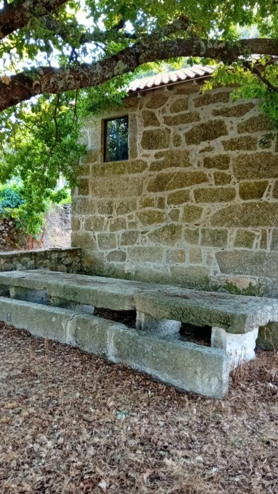 Quinta T0 para Venda em Castelo de Penalva Foto 9