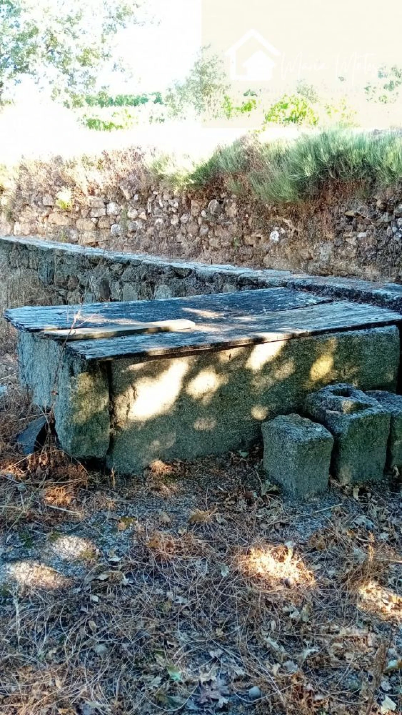 Quinta T0 para Venda em Castelo de Penalva Foto 13