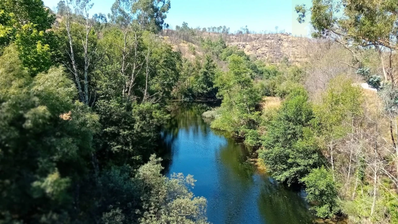 Quinta T0 para Venda em Castelo de Penalva Foto 3