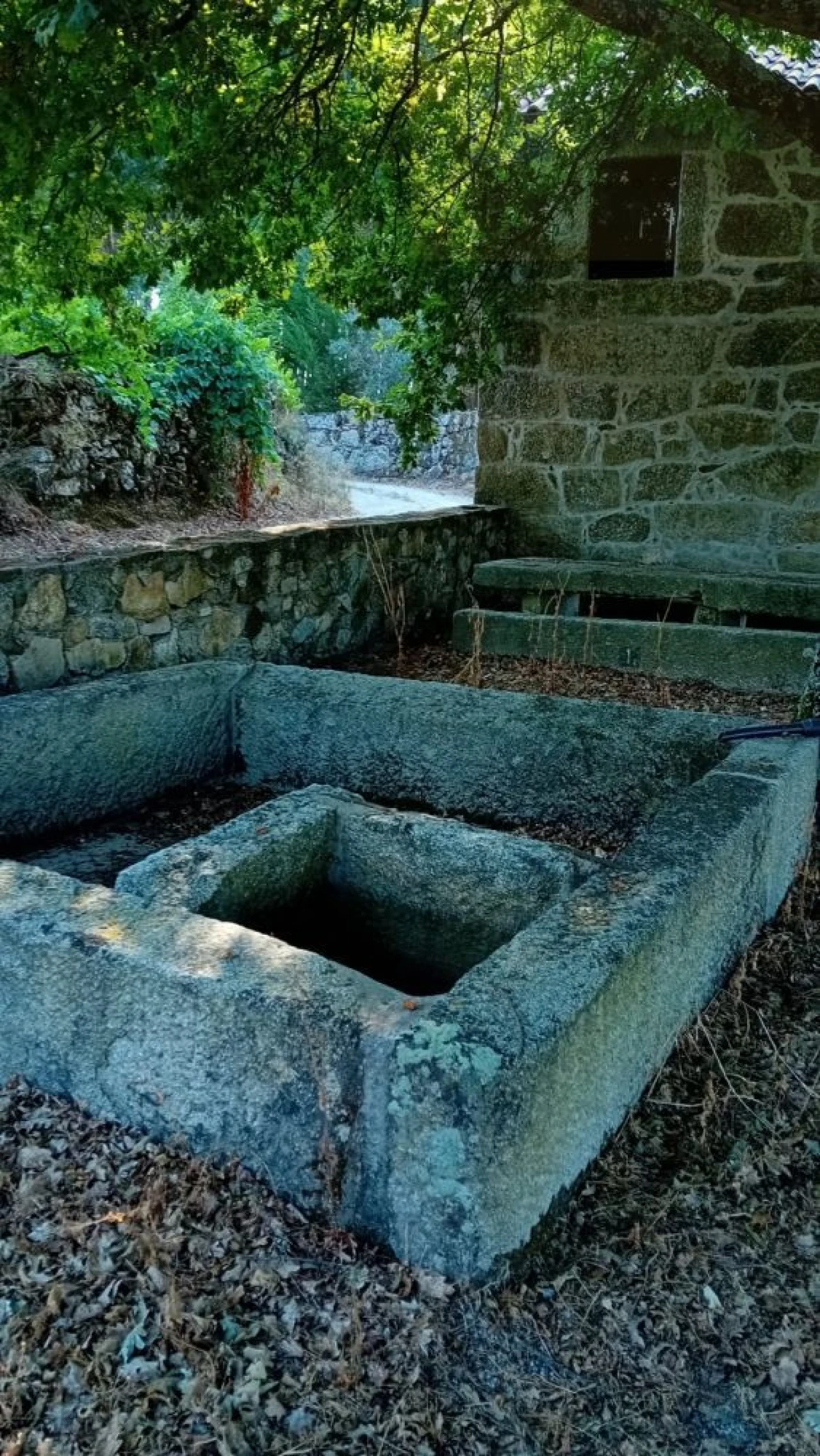 Quinta T0 para Venda em Castelo de Penalva Foto 12
