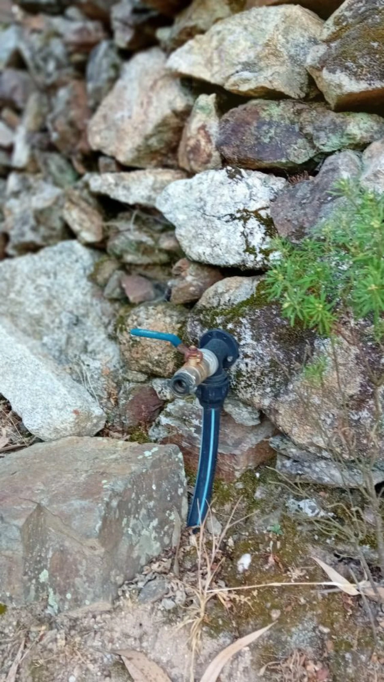 Quinta T0 para Venda em Castelo de Penalva Foto 21