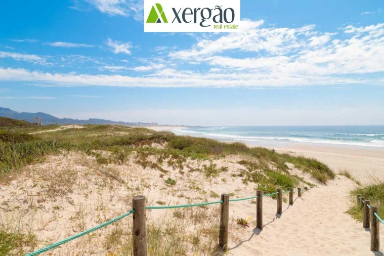 Apartamento T1 para Arrendamento em Vila Praia de Ancora Foto 18