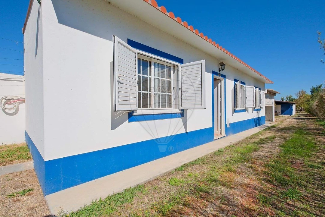 Moradia T3 para Venda em Galveias Foto 45