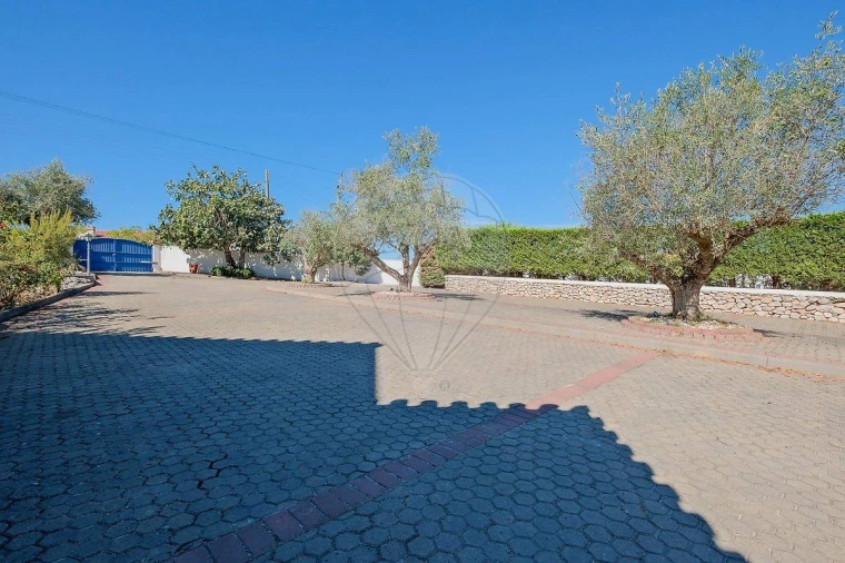 Moradia T3 para Venda em Galveias Foto 5