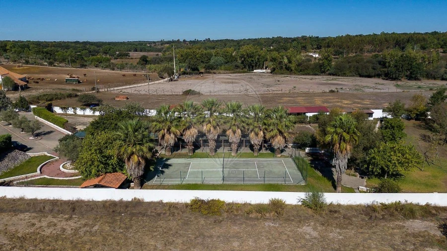 Moradia T3 para Venda em Galveias Foto 50