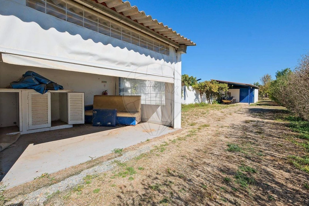 Moradia T3 para Venda em Galveias Foto 49