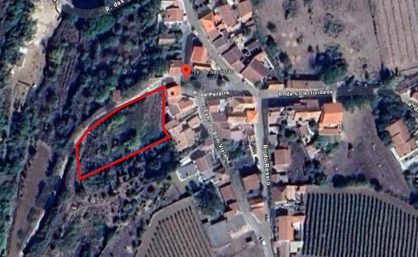 Terreno para Venda em Ribafria e Pereiro de Palhacana Foto 1