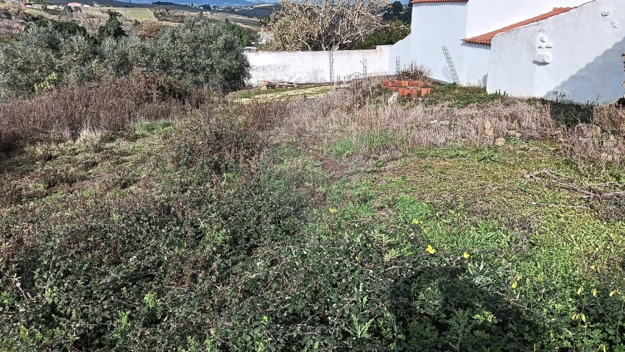 Terreno para Venda em Ribafria e Pereiro de Palhacana Foto 13